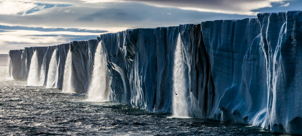 Photo: Paul Nicklen 照片:Paul Nicklen