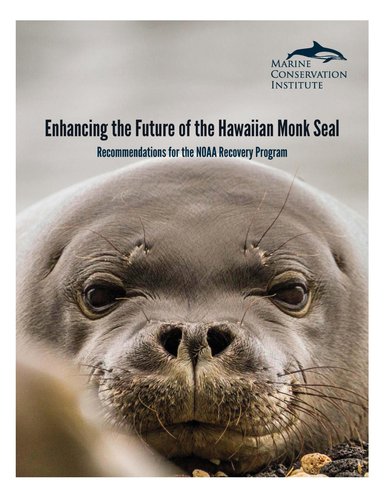 mci - hawaiian_monk_seals报告封面页- 001 - _p87vafk.jpg__1170x500_q85_subsampling - 2 - _upscale