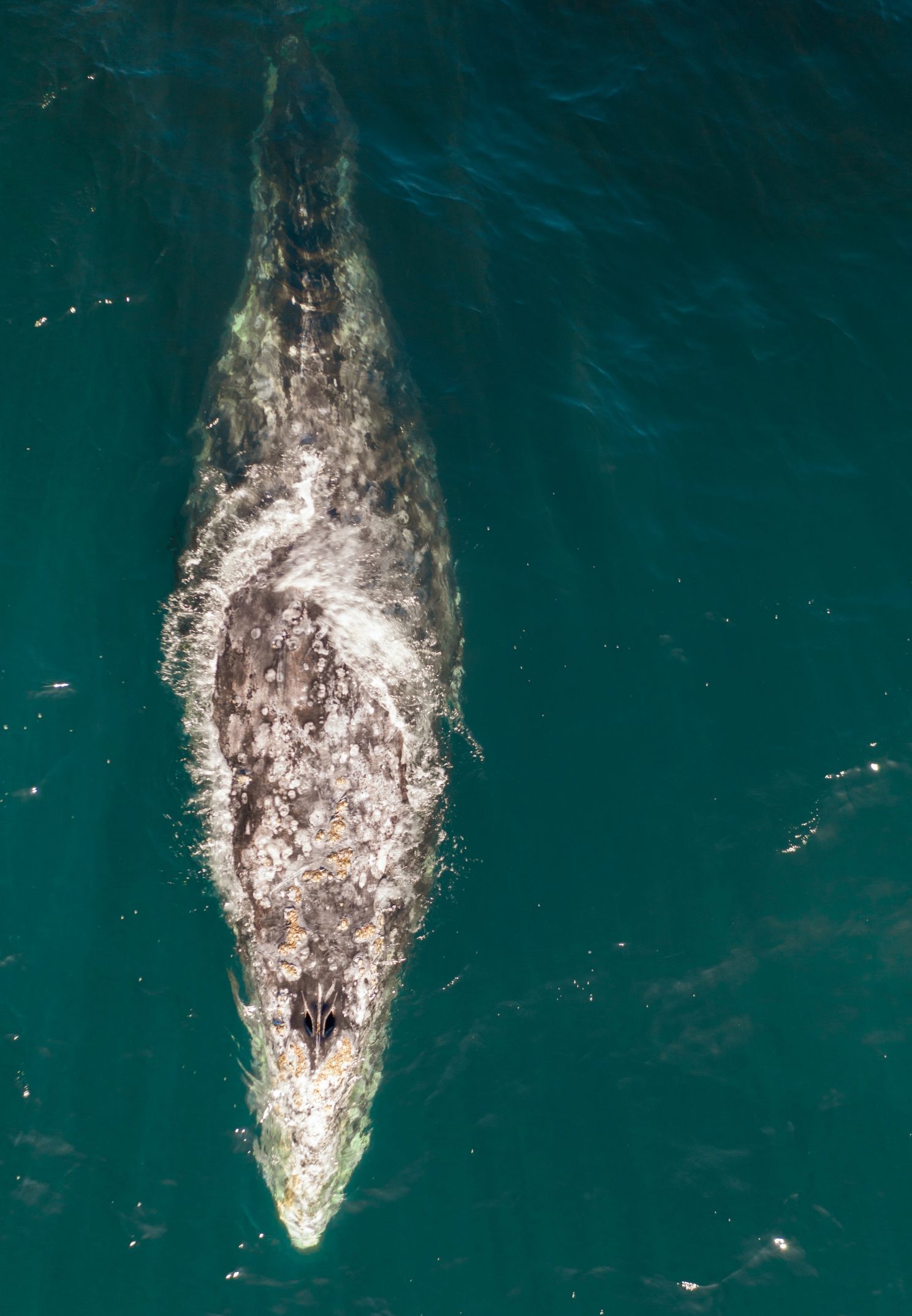Unsplash