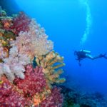 图片:美国国家海洋和大气管理局