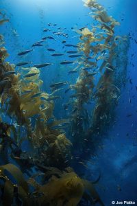 通道islands_norseblog