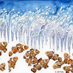 背景图代表海洋pH值下降,图像学分:吉尔Pelto