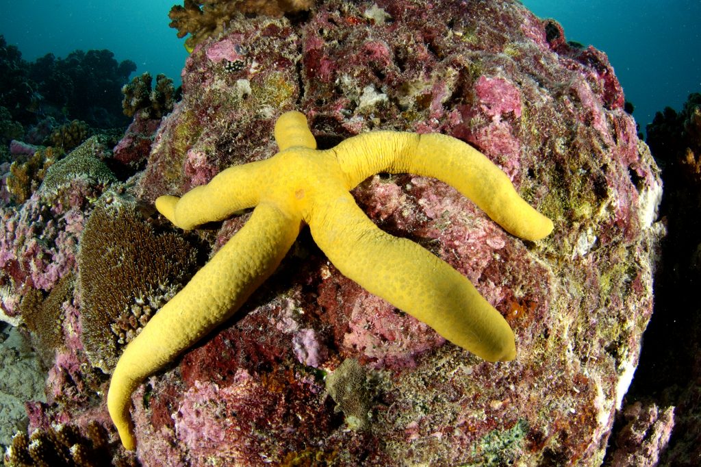 雷竞技官网dota2中国有限公司蓝色公园-阿尔达布拉