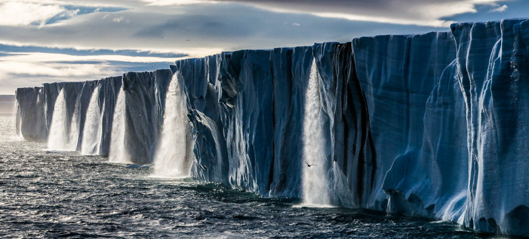 照片:Paul Nicklen