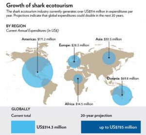 shark-tourism