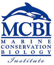 23772947865 _d6cb325908_m