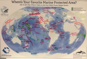 我们询问了IUCN世界保护大会的参与者，他们最喜欢的MPA在世界上的哪个地方，并讨论了它适合全球海洋保护区系统的品质。