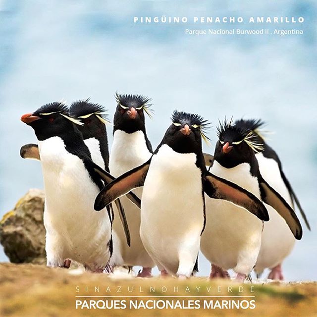 blue-sparks, namancurá-burdwood II和亚甘内斯，阿根廷