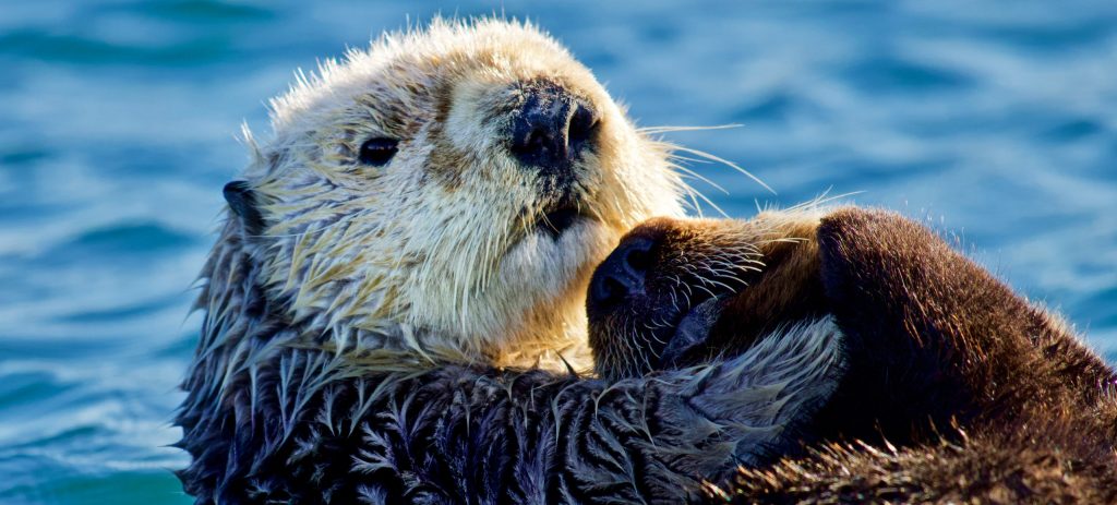 MCI摄影大赛2020年冠军