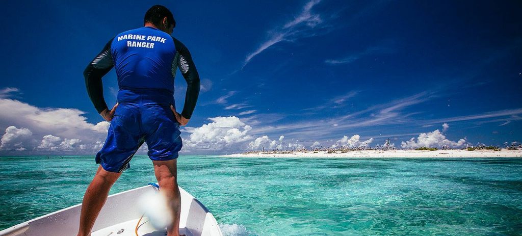 图片来源:Tommy Schults