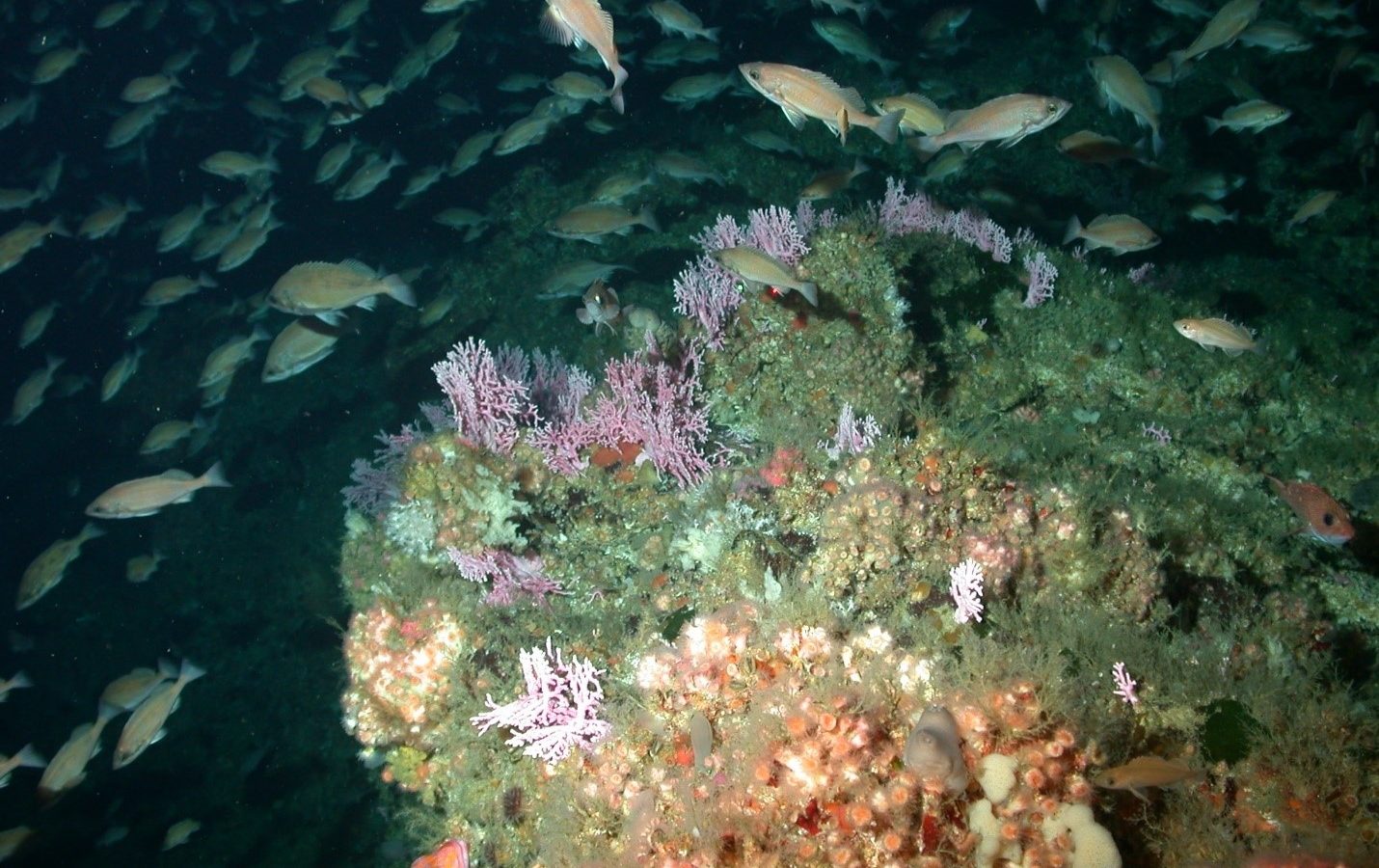 图片:美国国家海洋和大气管理局